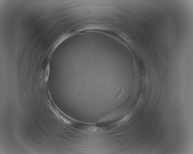 X0000078881369200611201359