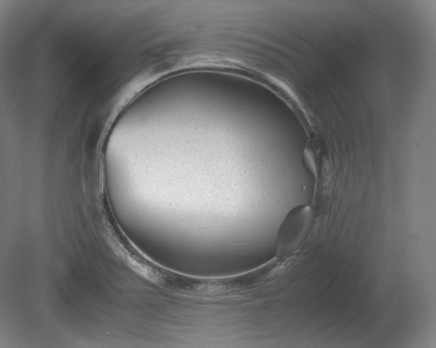 X0000078881371200611201359