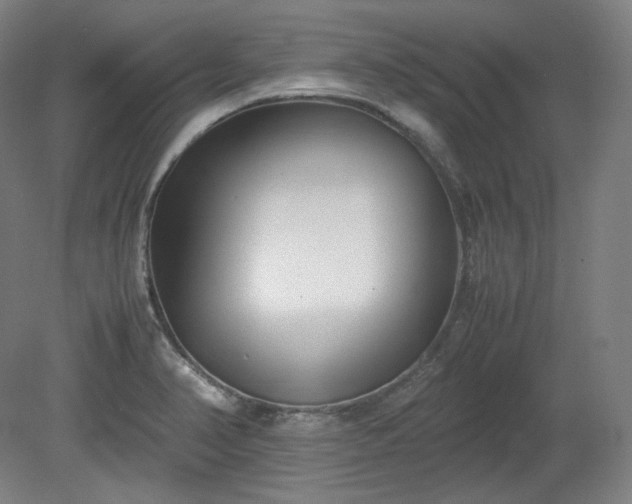 X0000078881374200611201359