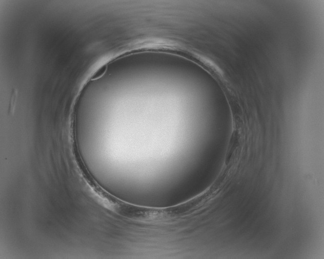 X0000078881375200611201359