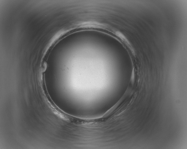 X0000078881376200611201359