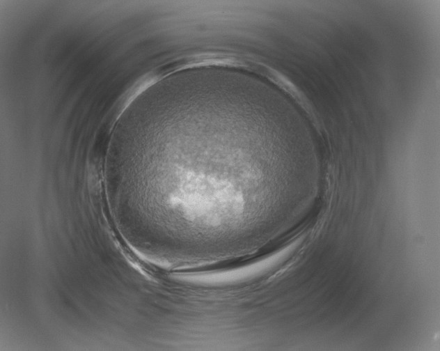 X0000078881377200611201359