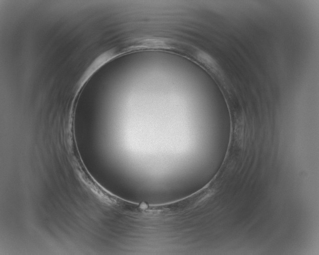 X0000078881378200611201359