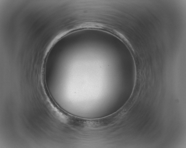 X0000078881379200611201359