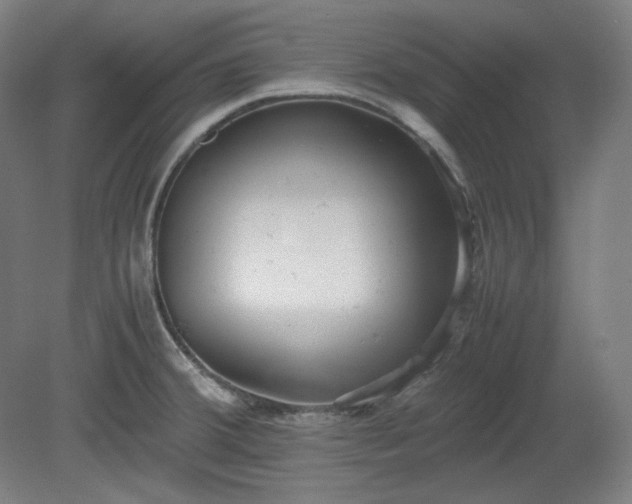 X0000078881380200611201359