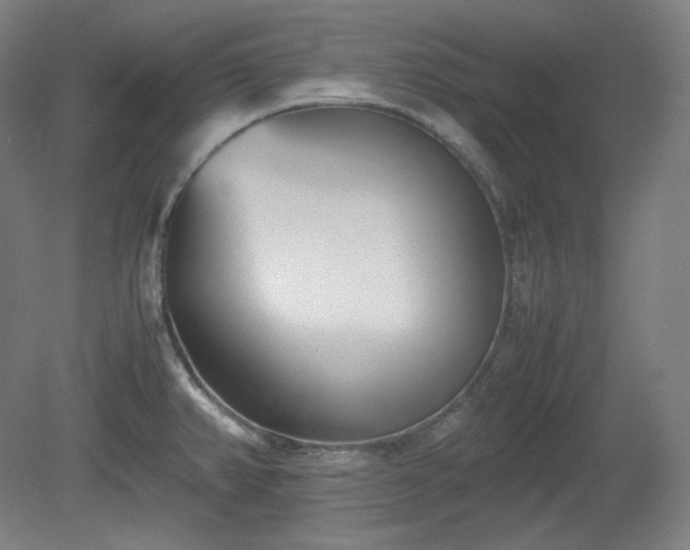 X0000078881382200611201359