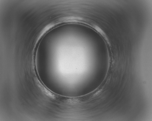 X0000078881384200611201359