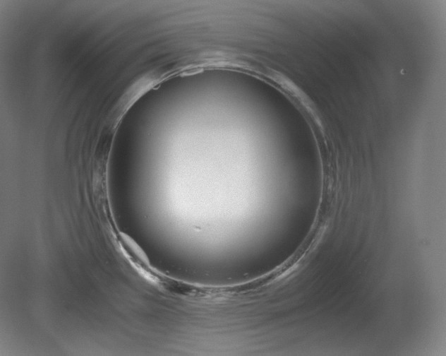 X0000078881385200611201359