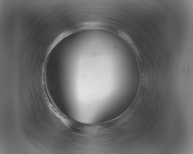 X0000078881386200611201359