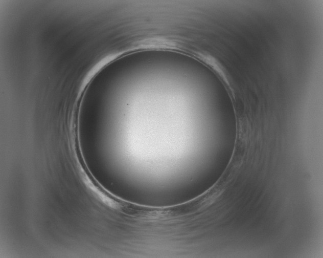 X0000078881387200611201359