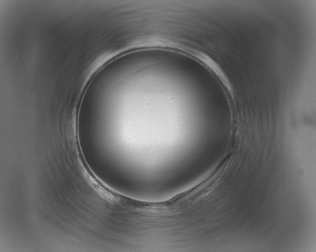 X0000078881388200611201359