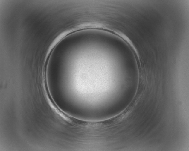 X0000078881389200611201359