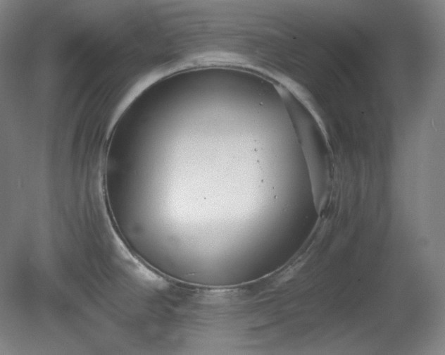 X0000078881390200611201359