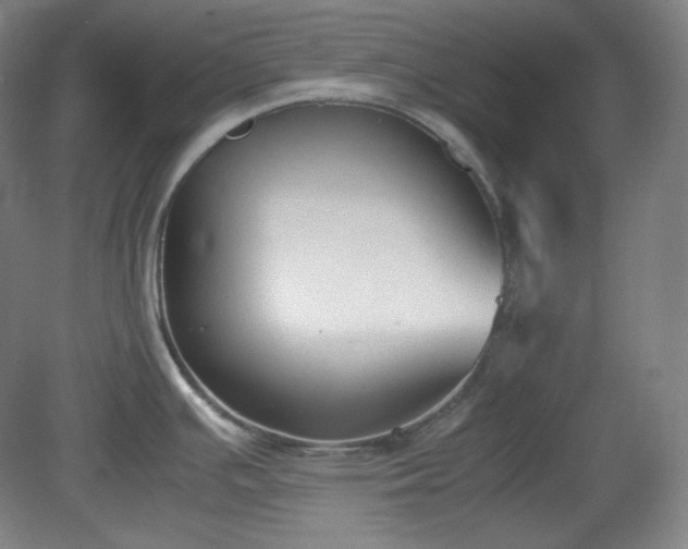 X0000078881391200611201359