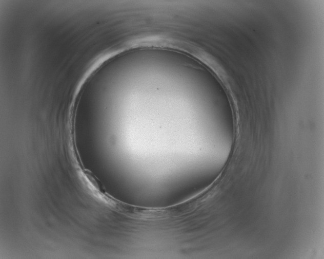 X0000078881392200611201359