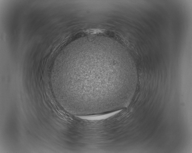 X0000078881393200611201358
