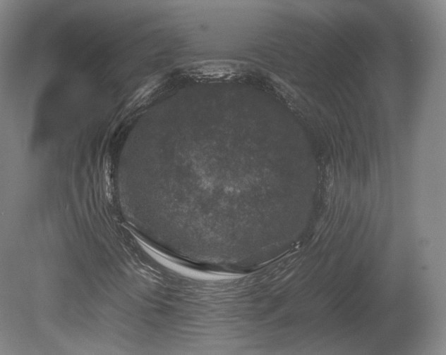 X0000078881394200611201358