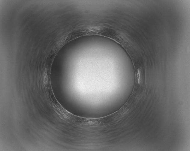 X0000078881395200611201358