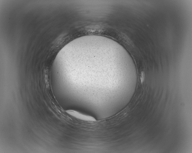 X0000078881396200611201358