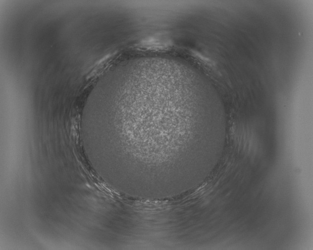 X0000078881397200611201358