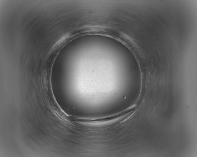X0000078881403200611201358