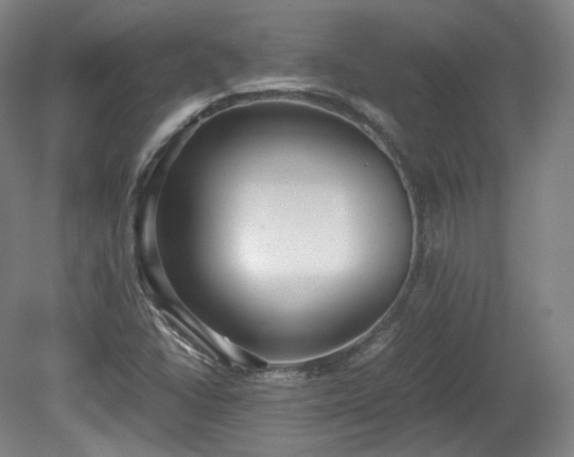 X0000078881406200611201358