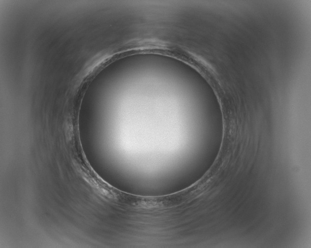 X0000078881407200611201358