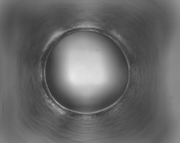 X0000078881408200611201358