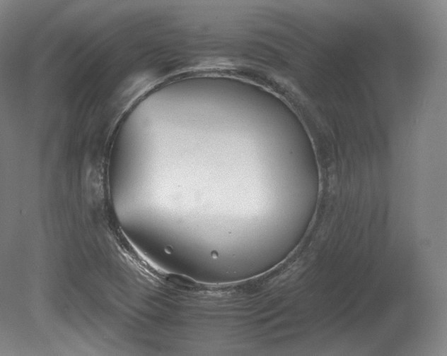 X0000078881409200611201359