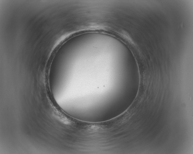 X0000078881412200611201359