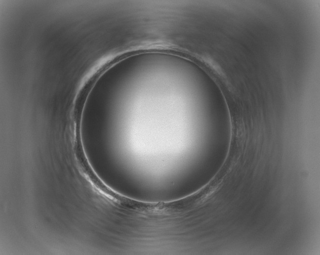 X0000078881414200611201359