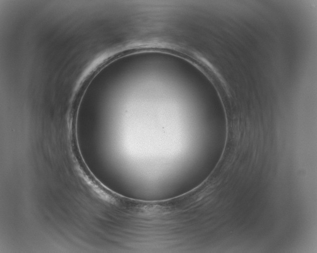 X0000078881416200611201359