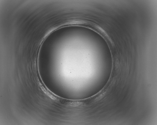 X0000078881417200611201359
