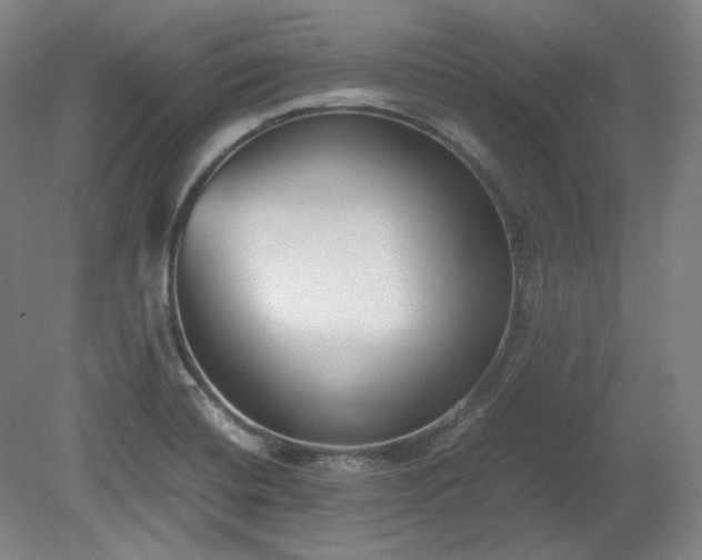 X0000078881420200611201359