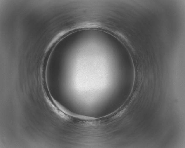 X0000078881422200611201359