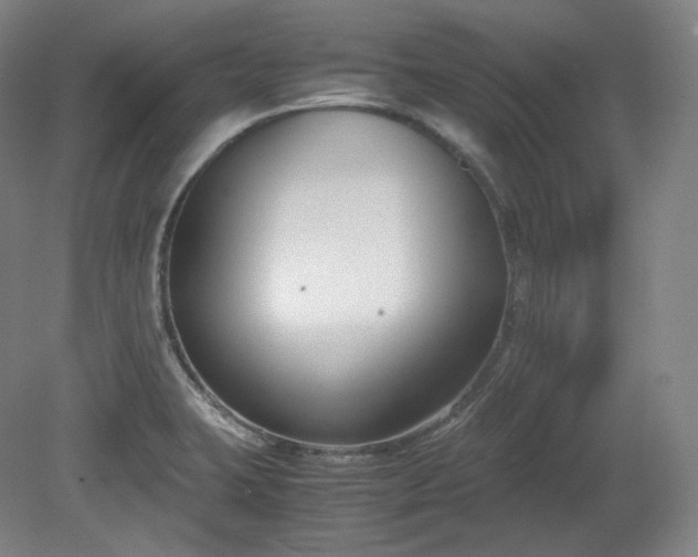 X0000078881423200611201359