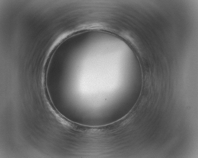 X0000078881424200611201359