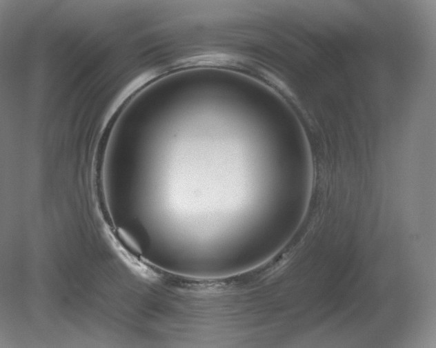 X0000078881426200611201359