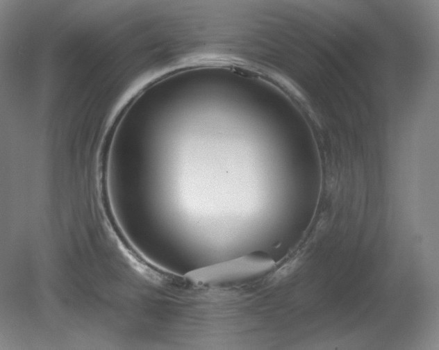 X0000078881430200611201359