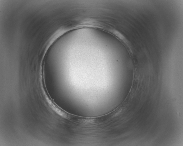 X0000078881431200611201359