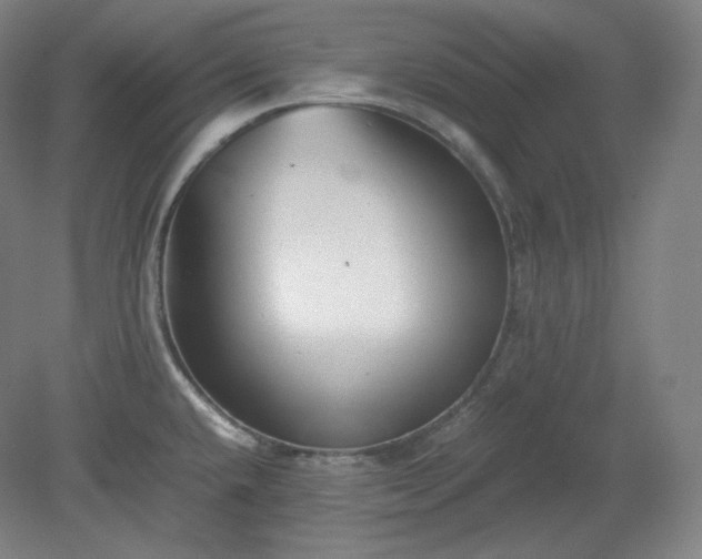 X0000078881432200611201359