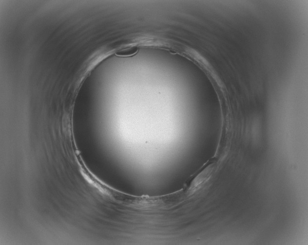X0000078881433200611201359