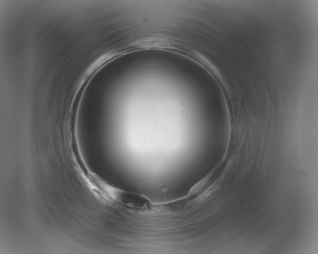 X0000078881434200611201359
