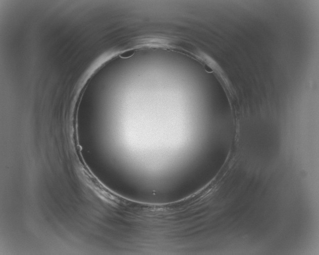 X0000078881435200611201359