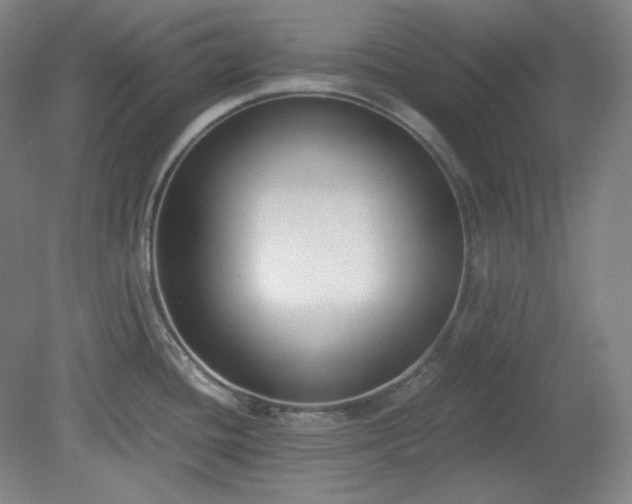 X0000078881436200611201359