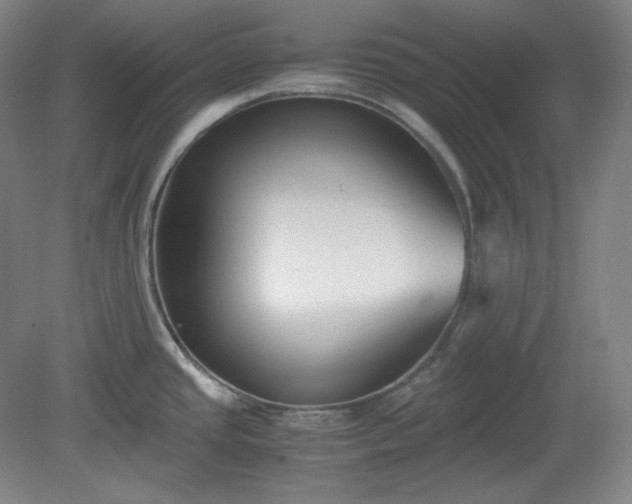 X0000078881437200611201359