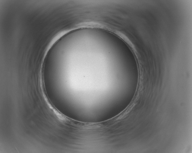 X0000078881440200611201359