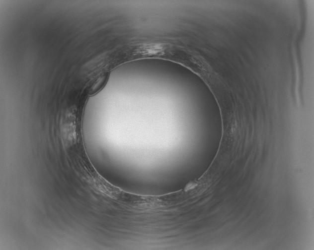 X0000078881442200611201358