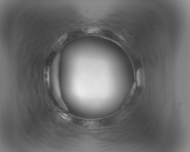 X0000078881443200611201358