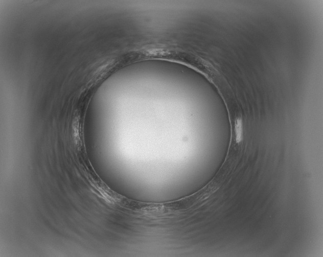 X0000078881444200611201358